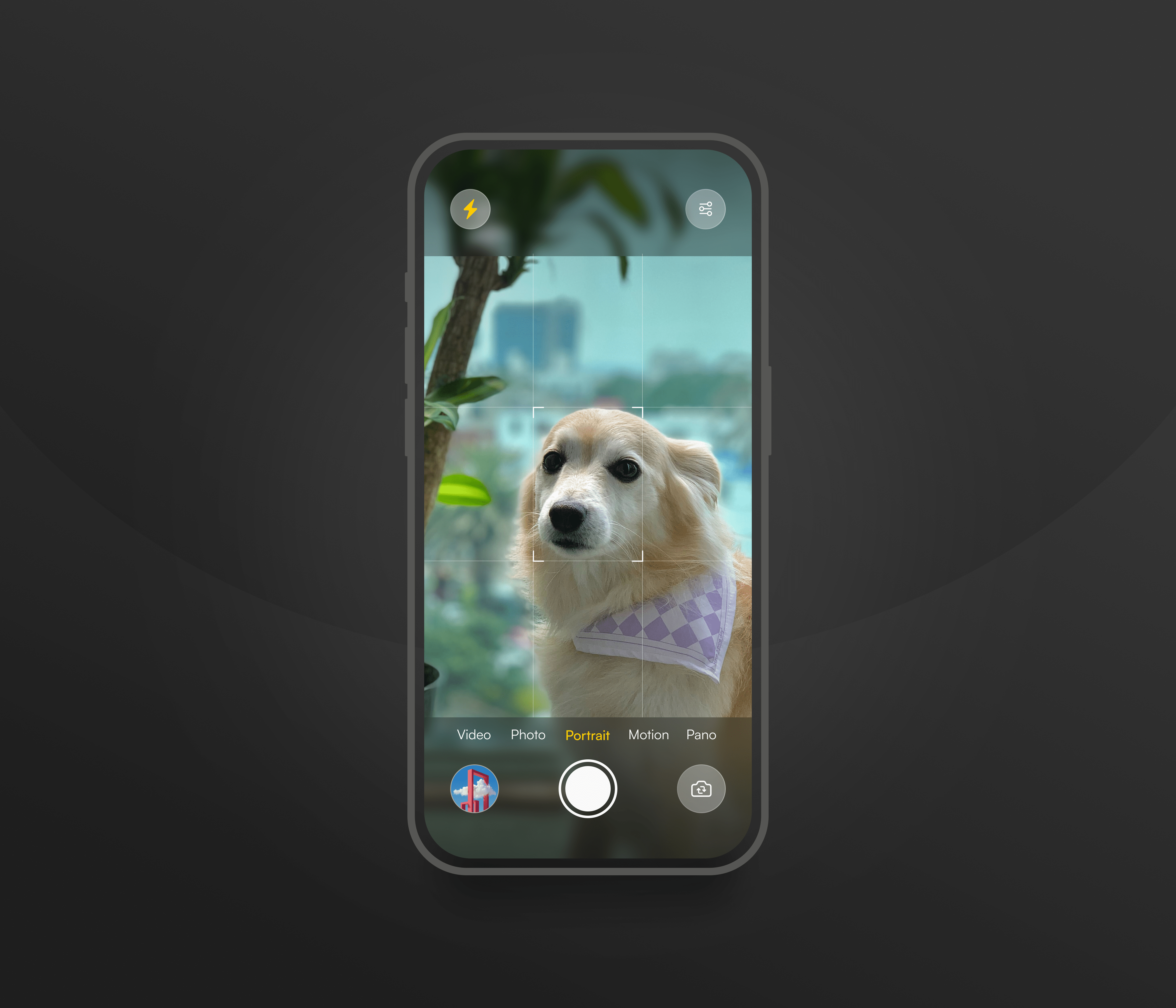Daily UI Challenge #29